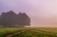 Misty morning van Joost Lagerweij thumbnail