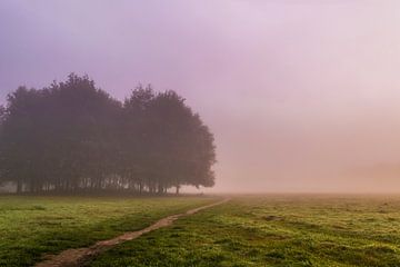 Nebliger Morgen von Joost Lagerweij