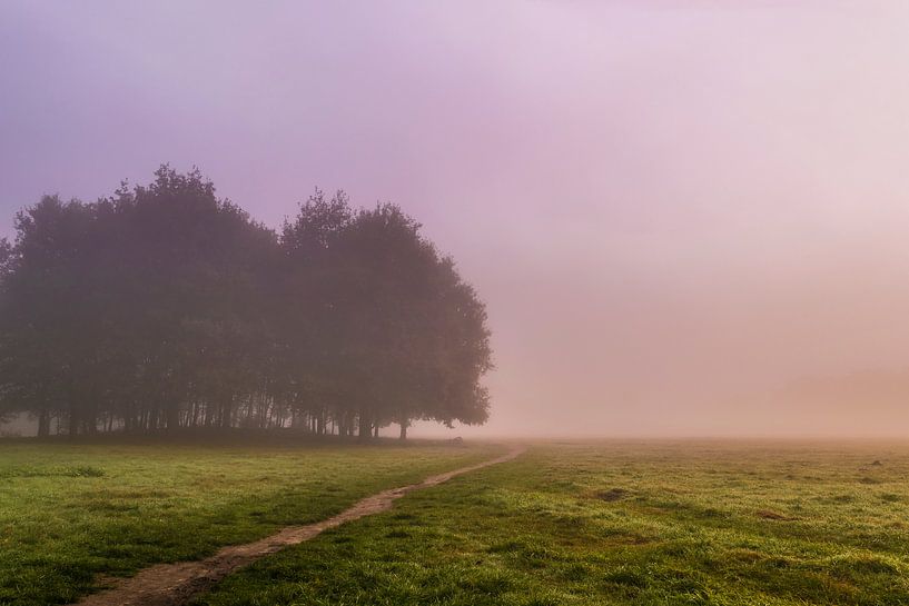 Misty morning van Joost Lagerweij