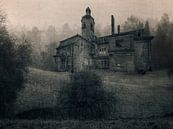 Lost Place - old villa van Carina Buchspies thumbnail