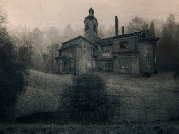 Lost Place - old villa van Carina Buchspies