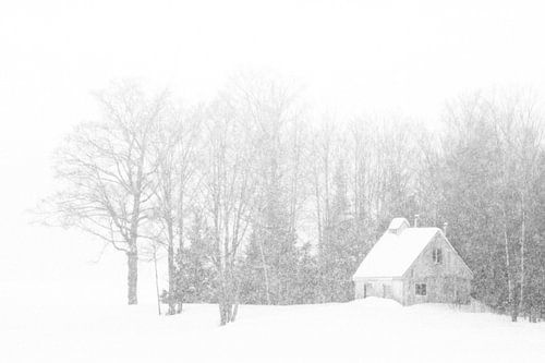 Bordée de Neige