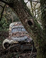 zich verstoppen in het bos