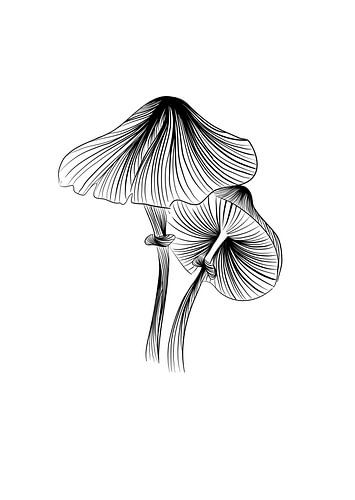 Poster Paddenstoel - Fine line illustratie - Zwart wit