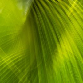 Sailing in motion by Leontine van der Stouw