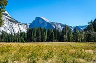 Vallée du Yosemite par Ton Kool Aperçu