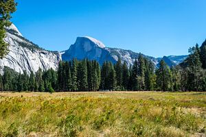 Yosemite valley van Ton Kool