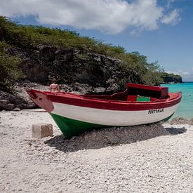 Boat at the beach by Dani Teston