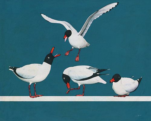 A resting place with black head of seagulls