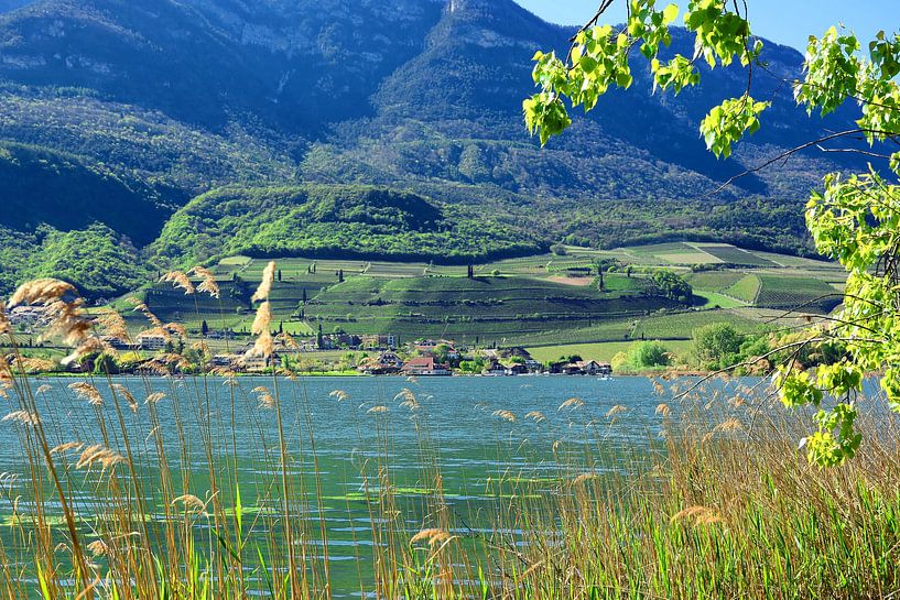 Lake Caldaro by Gisela Scheffbuch