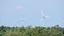 Fliegende Möwe von Gerard de Zwaan