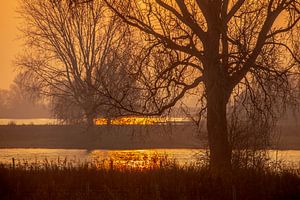Landschaft 'Entlang der Maas