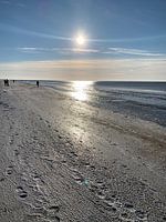 Frozen North Sea beach
