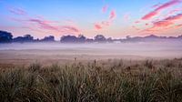 Mistige ochtend in de duinen van Richard Guijt Photography thumbnail