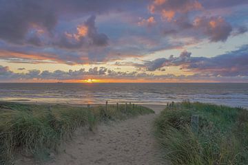 Duin, strand en zee aan de Hollandse kust van Dirk van Egmond