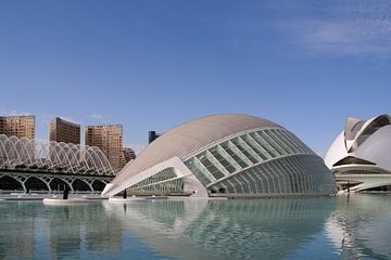 Valencia Museum of Arts and Sciences van Ab Wubben