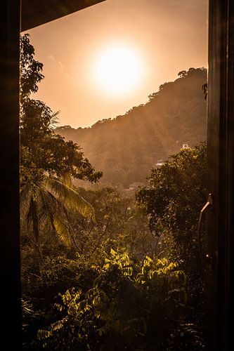 Golden jungle sun, caught through the window