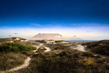 Table Mountain van Thomas Froemmel