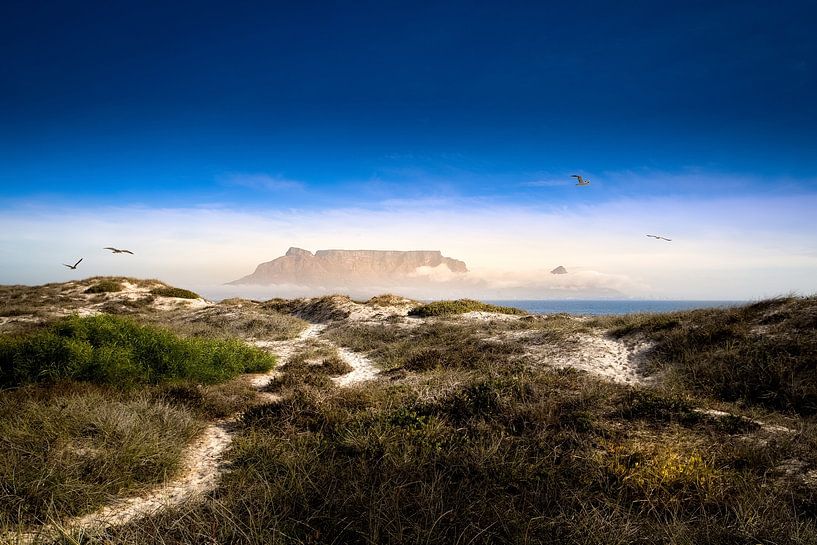 Tafelberg I van Thomas Froemmel