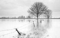 High Water 2