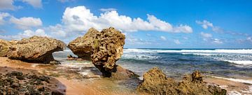 Barbados Island in the Caribbean by AidasignArt