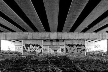 Under the bridge van Eline Jonkers