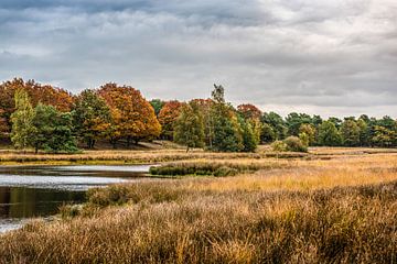 Herfstachtig landschap van Bas Fransen