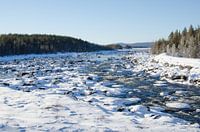 Fließendes Wasser durch das verschneite schwedische Lappland
