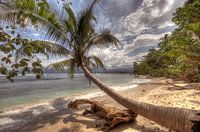 Paradise