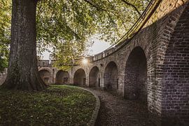 Burcht van Leiden van Dirk van Egmond