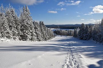 The recreation ground in winter by Claude Laprise