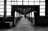 the crossing
