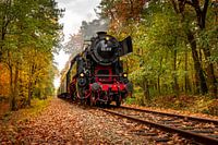 2019 No 01 - Autumn Train