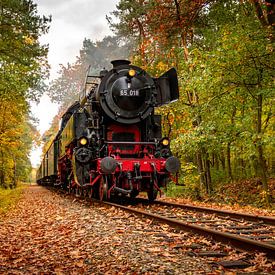 2019 No 01 - Autumn Train von Raymond Voskamp