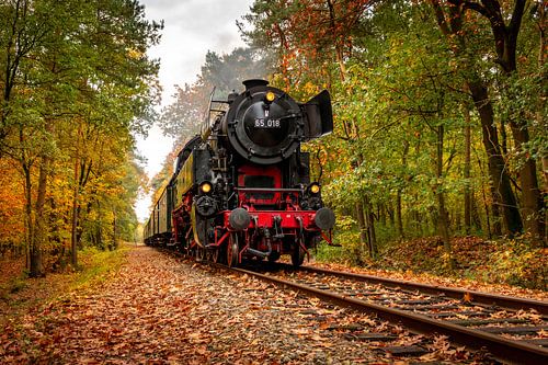 2019 No 01 - Autumn Train