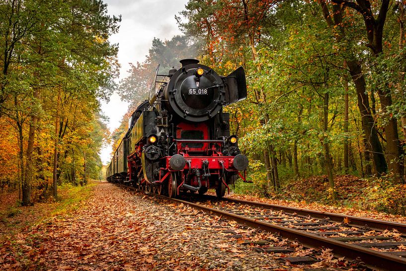 2019 No 01 - Autumn Train par Raymond Voskamp