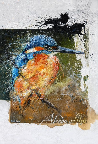 IJsvogel van Peter van Loenhout