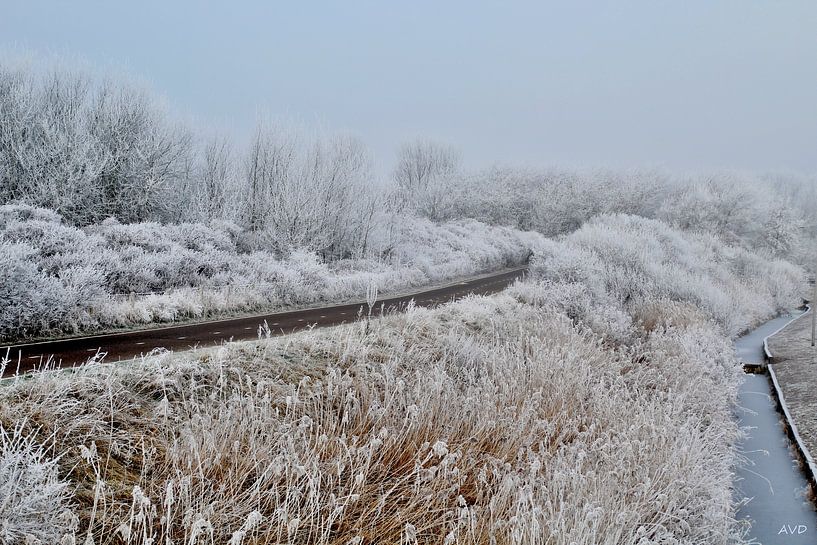 Het pad door de sneeuw van Arie  van Duijn