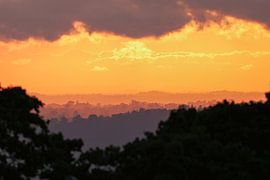 Fenêtre sur la forêt tropicale sur Bart Hendriks