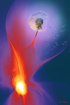 Paardenbloem Ontsnap aan het Vuur