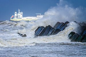 Windstärke 8 entlang der Maasvlakte-Küste