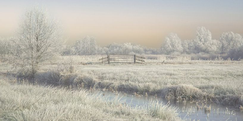 winterlicht in de wieden van Annie Keizer