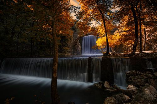 herfst perfectie