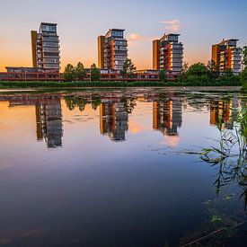 Coucher de soleil urbain sur Daphne Plaizier