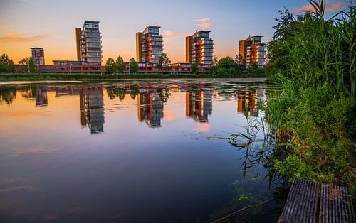 Avondlicht in de Stad