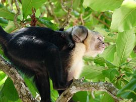 Sleeping Beauty by Edwin Freeze