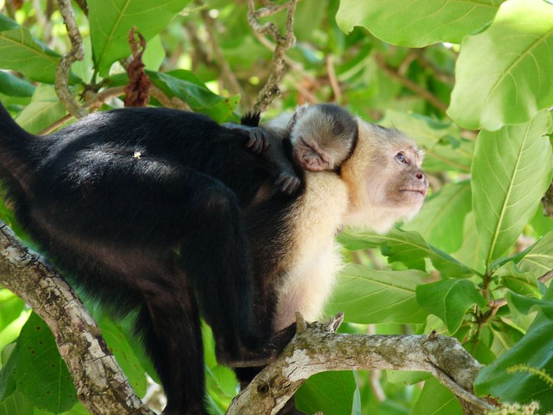 Sleeping Beauty par Edwin Freeze