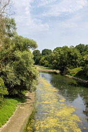 Flusslandschaft im Naturschutzgebiet Kühkopf, Hessen von Andreas Freund