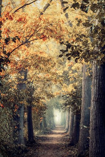 Een Magische Wandeling
