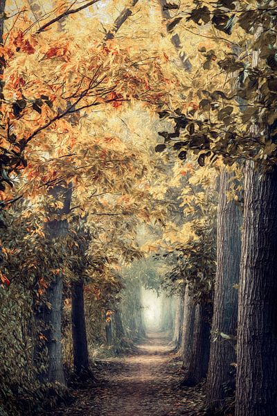Ein magischer Spaziergang von Lars van de Goor